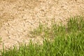 Wheat field with vast unproductive areas