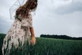 Wheat field woman hand. Young woman hand touching spikelets in cereal field. Agriculture harvest summer, food industry