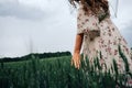 Wheat field woman hand. Young woman hand touching spikelets in cereal field. Agriculture harvest summer, food industry