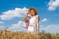 Wheat field Royalty Free Stock Photo