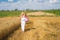 Wheat field Royalty Free Stock Photo