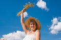 Wheat field Royalty Free Stock Photo