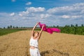 Wheat field Royalty Free Stock Photo