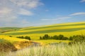 Palouse Wheat fields in countryside Royalty Free Stock Photo