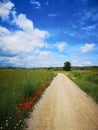 Fields and Sky in Navarra, Spain