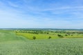 Wheat fields in the countryside in Europe, in France, in Burgundy, in Nievre, towards Clamecy, in Spring, on a sunny day Royalty Free Stock Photo