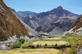 Wheat fields and dry mountains along the Markha Valley trek, Ladakh region, India Royalty Free Stock Photo