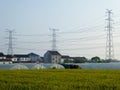 Wheat fields in front of plastic covered greenhouses