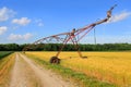 Wheat fields Royalty Free Stock Photo