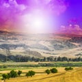 Wheat fields after harvesting