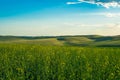 wheat fields, hills and sky seen from Palouse in Washington State Royalty Free Stock Photo