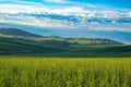 wheat fields, hills and sky seen from Palouse in Washington State Royalty Free Stock Photo