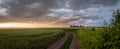 Wheat fields with a long road and beautiful sunset sky with thunderstorm clouds. Royalty Free Stock Photo