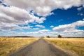 Wheat Fields in Moolort Plains Royalty Free Stock Photo