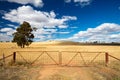 Wheat Fields in Moolort Plains Royalty Free Stock Photo