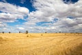 Wheat Fields in Moolort Plains Royalty Free Stock Photo