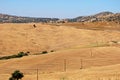 Wheat fields and mountains, Almogia. Royalty Free Stock Photo