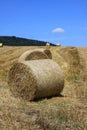 Wheat fields in the mountains of Germany, Hettigenbeuern