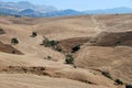 Wheat fields near Almogia, Andalusia, Spain. Royalty Free Stock Photo