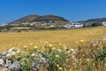 Wheat fields near town of Parikia, Paros island, Greece Royalty Free Stock Photo