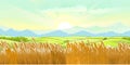 Wheat fields. Rural village landscape. Meadow hills and pastures. Ears of cereals barley, rye. Summer rustic farm