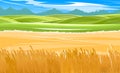 Wheat fields. Rural village landscape. Meadow hills and pastures. Ears of cereals: barley, rye. Summer rustic farm Royalty Free Stock Photo
