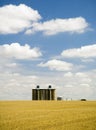 Wheat fields, silo, clouds Royalty Free Stock Photo