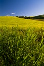 Rural land lit by sunlight, Puglia, Italy