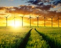 Wheat fields with wind turbines Royalty Free Stock Photo