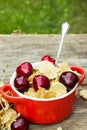 Wheat flakes with cherry pieces in a ceramic pot