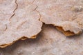 Wheat flour flatbreads snack closeup texture Royalty Free Stock Photo