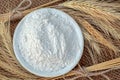 Wheat flour in a plate and ears of ripe wheat Royalty Free Stock Photo