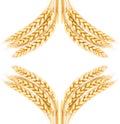 Wheat Royalty Free Stock Photo