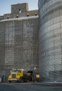 Wheat, Fresh From the Field to the Grain Elevator