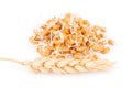 Wheat germ with ear Royalty Free Stock Photo