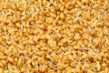 Wheat germ Royalty Free Stock Photo