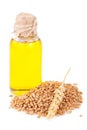 Wheat germ oil Royalty Free Stock Photo