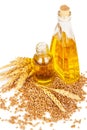 Wheat germ oil Royalty Free Stock Photo