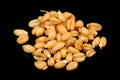 Wheat Germs on Black Background Royalty Free Stock Photo