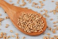 Wheat germs in a wooden spoon (Wheat sprouts) Royalty Free Stock Photo