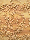 Wheat grain background Royalty Free Stock Photo