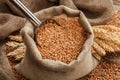 Wheat grain in bags and wheat ears on the table Royalty Free Stock Photo