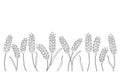 Wheat grain ear border, nature pattern, continuous art line drawing. Linear sketch of wheat, barley, rice, corn, oat ear
