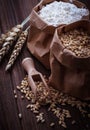 Wheat grain and flour in paper bags Royalty Free Stock Photo