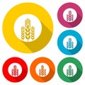 Wheat grain icon with long shadow Royalty Free Stock Photo