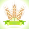 Wheat Grain Label