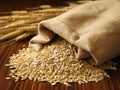 Wheat grain spills out of a hemp bag. extreme close-up, showing its intricate details and golden brown color.