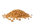 Wheat Grains Royalty Free Stock Photo