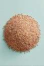 Wheat Grains Arranged in Circular Shape on Pastel Background Royalty Free Stock Photo