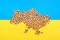 Wheat grains on the blue-yellow flag of Ukraine. Global food crisis concept due to war Royalty Free Stock Photo